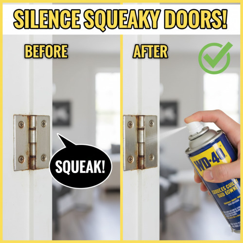 Silence Squeaky Doors FOREVER with This WD-40 Hack!