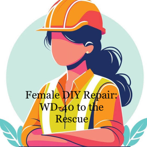 Female DIY Repair: WD-40 to the Rescue