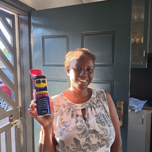 Fixing Squeaking Doors