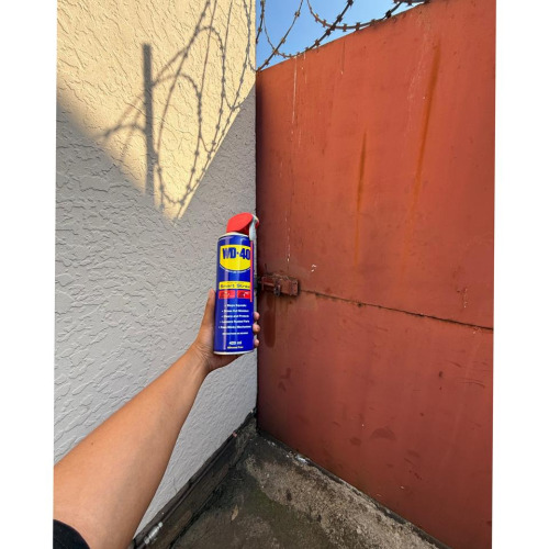 Project fix gate with wd-40